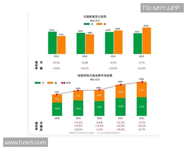 哈德森的传奇旅程探索他的影响力与未来发展潜力