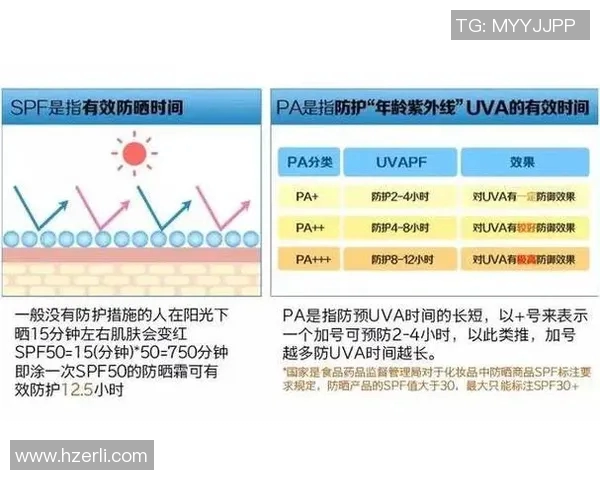 探索pa和pavs的选择对决与应用场景分析