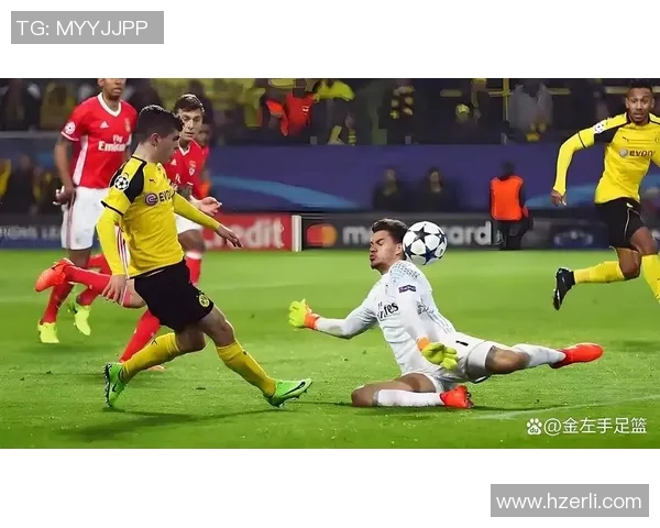 德国与瑞典精彩对决回顾比赛集锦尽显足球魅力与激情