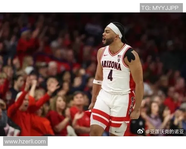 探索Boswell篮球明星的成长之路与辉煌成就背后的故事