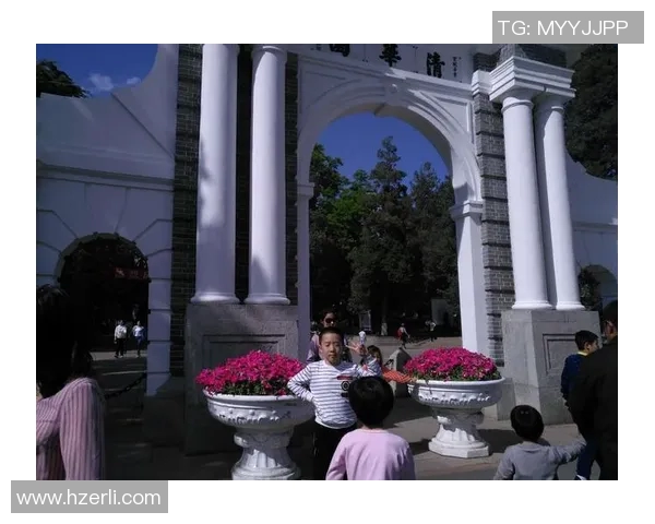 北京排球队奋勇拼搏的历程与荣耀背后的故事MBA